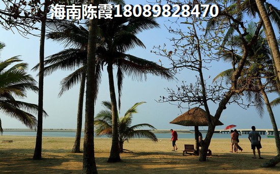 多年后这两样东西比乐东房子更昂贵？