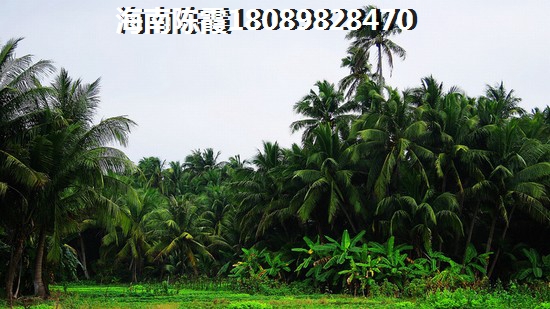 同一个小区的乐东龙栖湾房价为什么相差很大 你知道吗