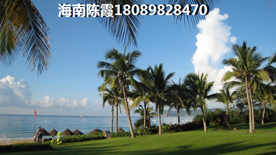 >2021乐东九所买房解读