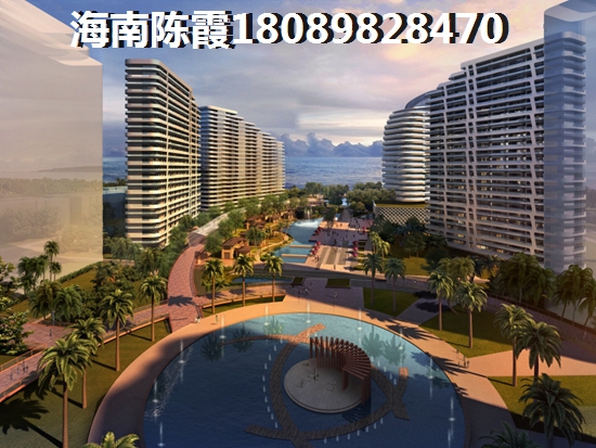 海南乐东什么房子纸得买一