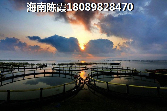 海南龙栖湾波波利海岸性价比