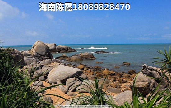 九所新区夏天气候