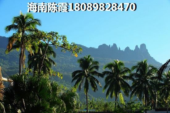 赵嘉的歌