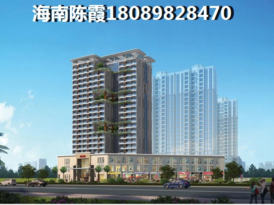 乐东龙栖湾波波利海岸房价增纸潜力分析! 乐东龙栖湾波波利海岸房价增纸潜力分析!